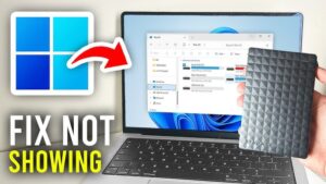 How to Fix External Hard Drive Not Showing Up in Windows 11