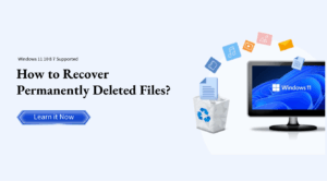 How to Recover Permanently Deleted Files Without Backup On Window