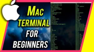How to Use Terminal for Basic Mac Maintenance